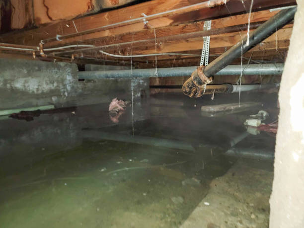 Best Fire Damage Restoration  in Ashland, NJ