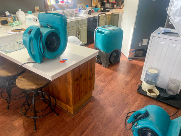 Best Commercial water damage restoration  in Ashland, NJ