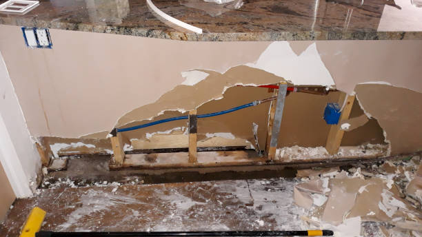 Best Professional water damage repair  in Ashland, NJ