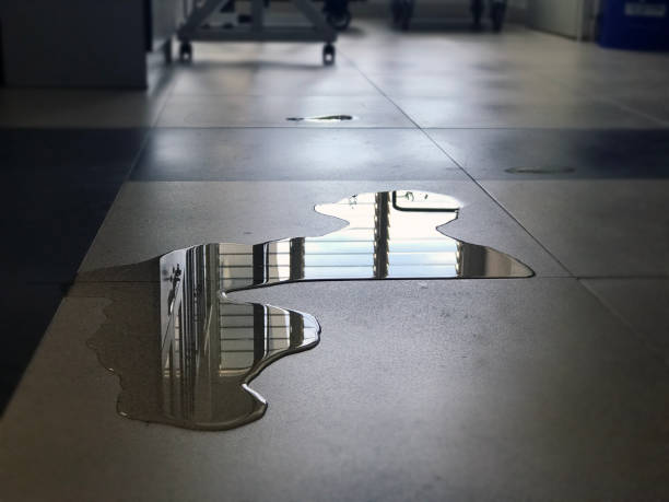 24/7 water damage repair in Ashland, NJ