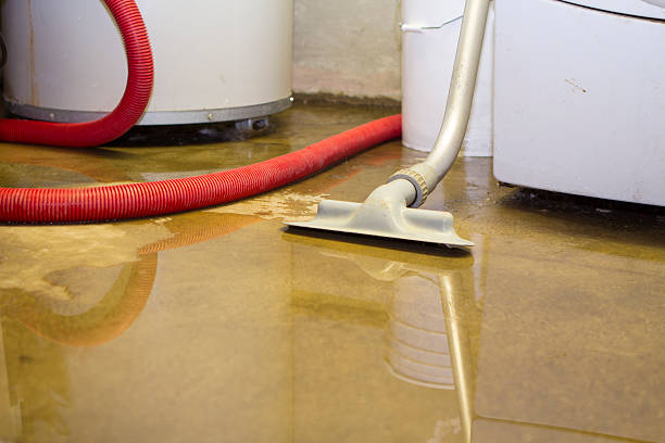 Best Sewage cleanup and water damage restoration  in Ashland, NJ