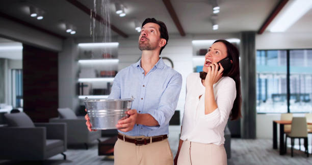 Ashland, NJ Water damage restoration Company